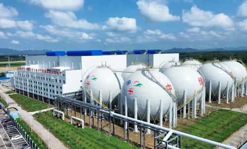 泰安用好關(guān)鍵一招，新材料技術(shù)驅(qū)動發(fā)展活力全面釋放